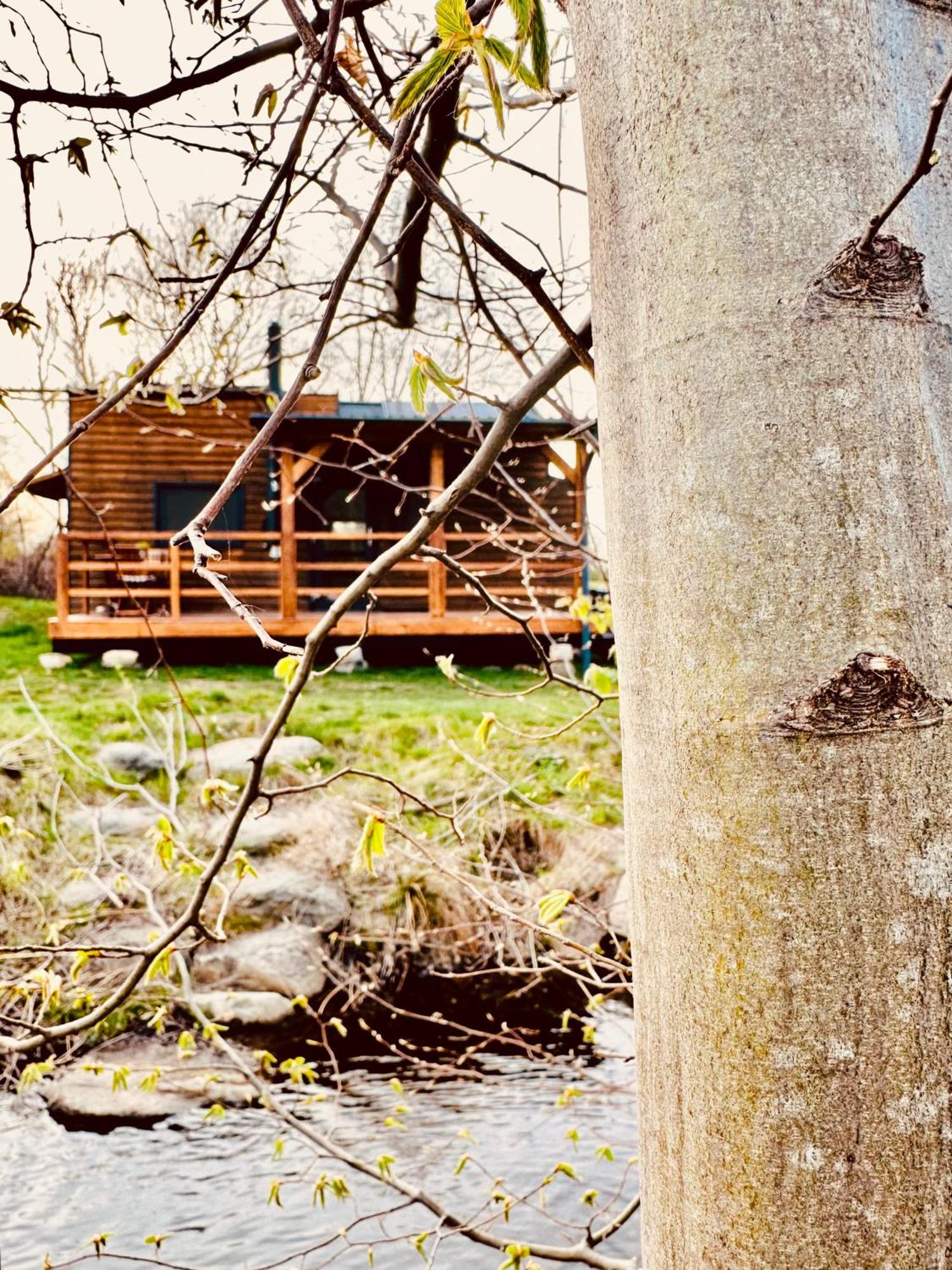 Tiny Home Dejani ภายนอก รูปภาพ